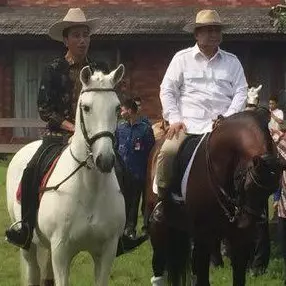 Temui Prabowo, Jokowi dijamu nasi goreng dan diajak berkuda