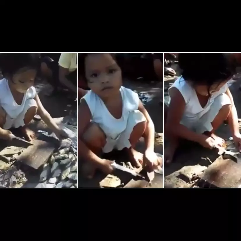 Bocah ini lihai memegang pisau demi membantu orangtuanya bekerja