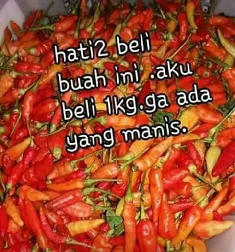 7 Meme kocak ini ingatkan kamu agar berhati-hati saat belanja ke pasar