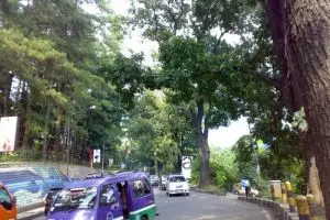 Misteri Jalan Siliwangi Bandung, kisah di balik film horor The Doll