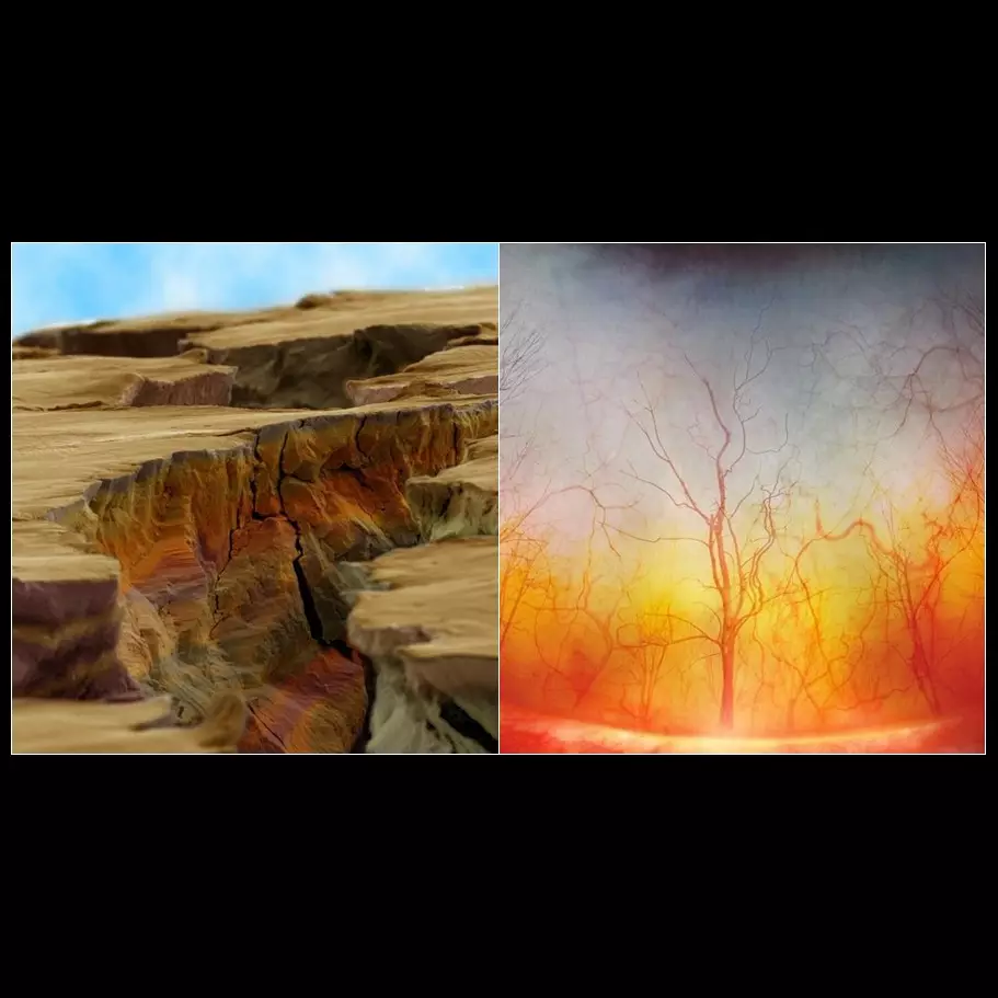 10 Foto makro ini kerennya kebangetan, kamu pasti nggak nyangka