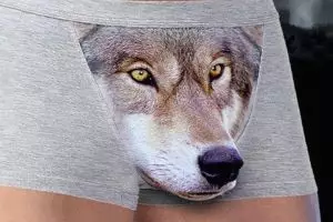 Model celana dalam 'moncong' ini bikin penampilan cowok makin seksi