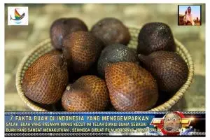 7 Fakta menggemparkan seputar buah asal Indonesia ini bikin ketawa