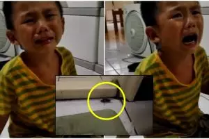 Bocah ini nangis gara-gara ibunya bunuh kecoak, lucu tapi nyentuh rasa