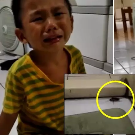 Bocah ini nangis gara-gara ibunya bunuh kecoak, lucu tapi nyentuh rasa