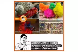 7 Hewan ini dijadikan 'mainan' idola anak 90-an tapi berakhir tragis