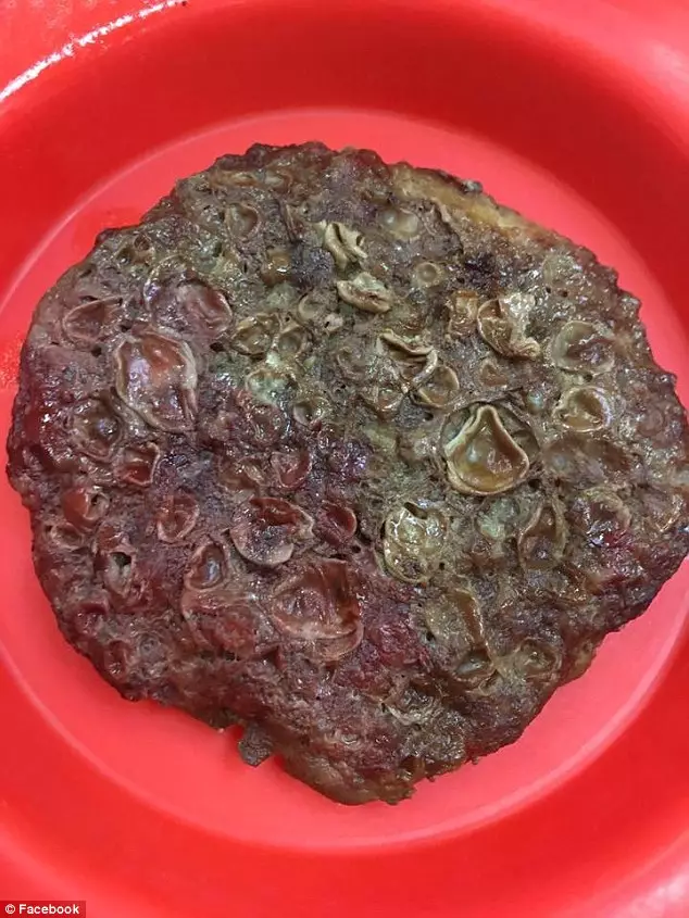 Hamburger di kantin sekolah ini bentuknya bikin mual, aman nggak ya?
