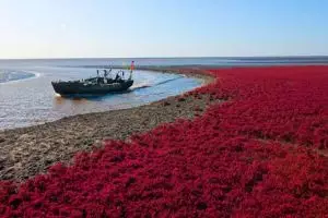 Tak cuma indah, panorama pantai ini bikin kamu bengong