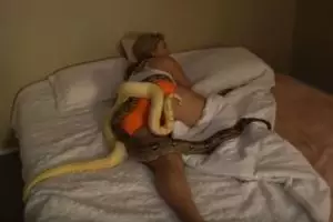 Keterlaluan, pria ini jahili kekasihnya dengan lempar dua ular piton