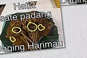 Orang ini bongkar strategi bikin kabar hoax yang viral di media sosial