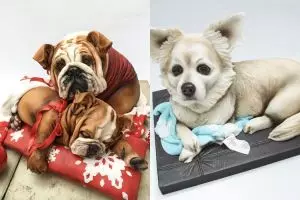 12 Kue ulang tahun bentuk anjing ini unik, bikin nggak tega makan nih