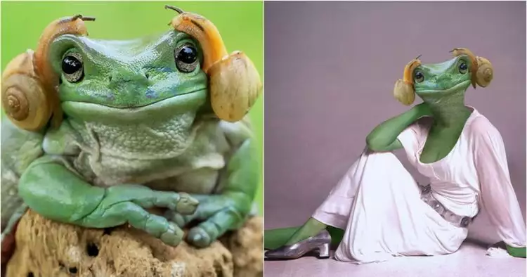 15 Foto editan katak dengan 2 siput nempel di kepala ini kocak banget