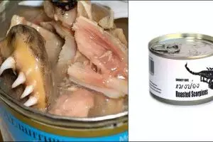 10 Makanan instan terjorok ini ternyata benar-benar ada, berani coba?