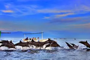 5 Pantai ini wajib kamu kunjungi bila ingin melihat lumba-lumba