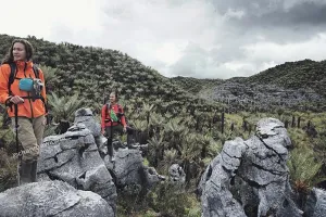Nadine Chandrawinata ngelus dada saksikan Puncak Cartenz, kenapa ya?