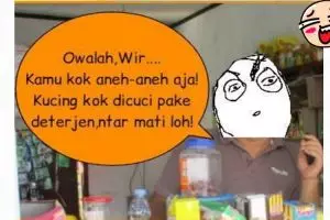 Cerita mandikan kucing pakai deterjen ini malah bikin ngakak endingnya