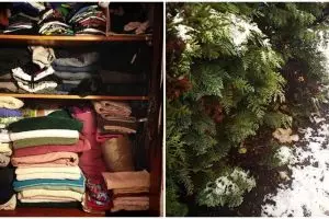 Matamu jeli jika bisa temukan kucing di 17 foto ini 