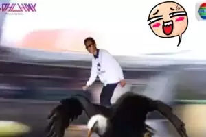 Video absurd editan bocah ini kocak bikin ngakak