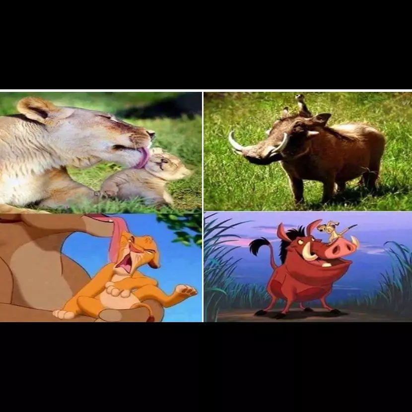 16 Foto adegan hewan di film ini benar-benar ada di dunia nyata