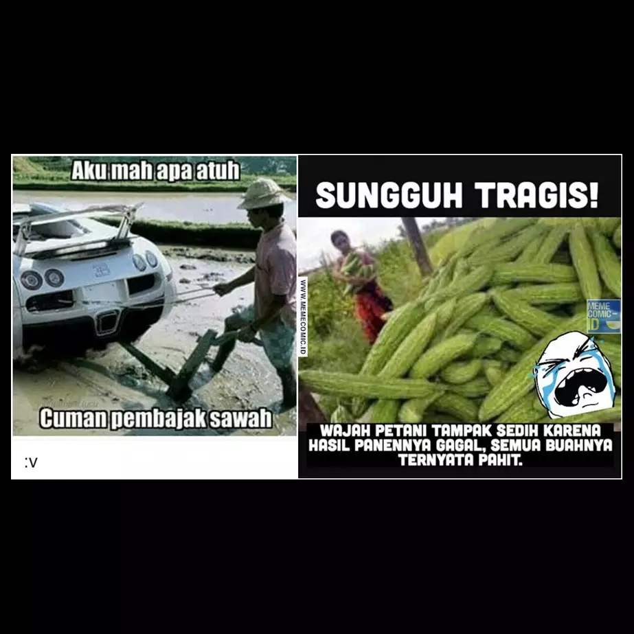 10 Meme 'petani' ini lucunya bikin kamu pengen ikut membajak sawah