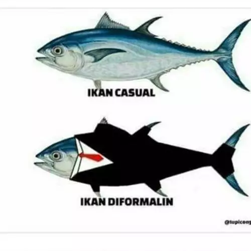 10 Meme 'pakai formalin' ini lucunya bikin awet ketawa