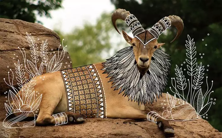 Di tangan seniman India, 9 foto hewan ini jadi lebih artistik