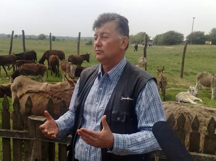 Keju keledai ini harganya Rp 14 juta per kilogram, kok mahal ya? 