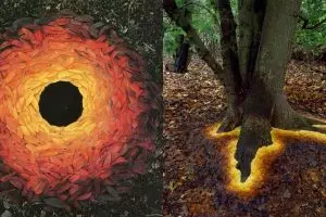 Seniman ini pakai bahan alami untuk ciptakan 10 karya seni super keren