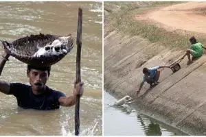 12 Momen penyelamatan hewan ini bakal gugah kepedulianmu 