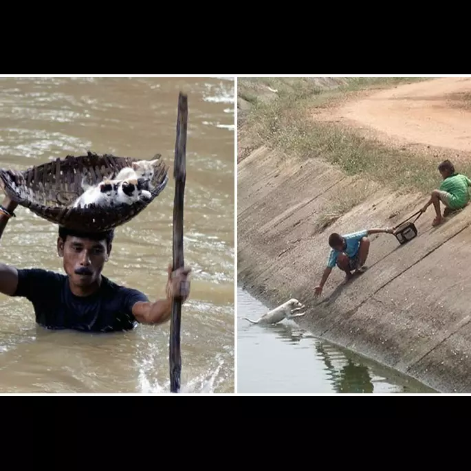 12 Momen penyelamatan hewan ini bakal gugah kepedulianmu 