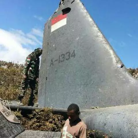 Begini 7 foto penampakan kondisi pesawat TNI AU saat ditemukan