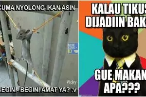 10 Meme seputar tikus ini lucunya bikin malu sama kucing