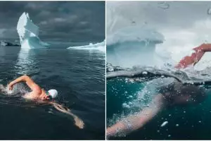 Kampanye selamatkan lingkungan, atlet ini berenang di Antartika
