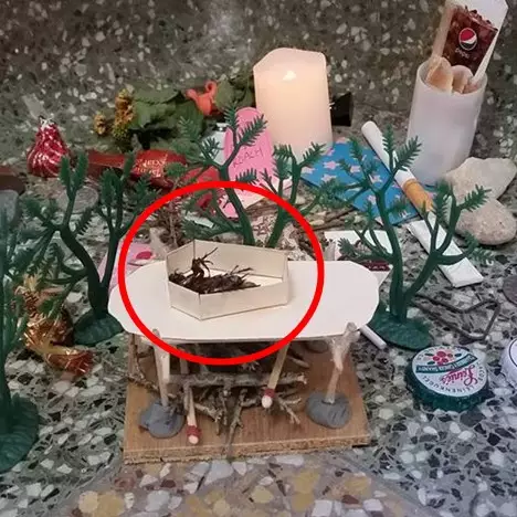 Cara orang memperlakukan kecoak mati ini bikin geleng-geleng