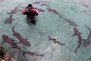 Nggak perlu khawatir cuaca buruk, traveling ke Karimunjawa tetap jalan