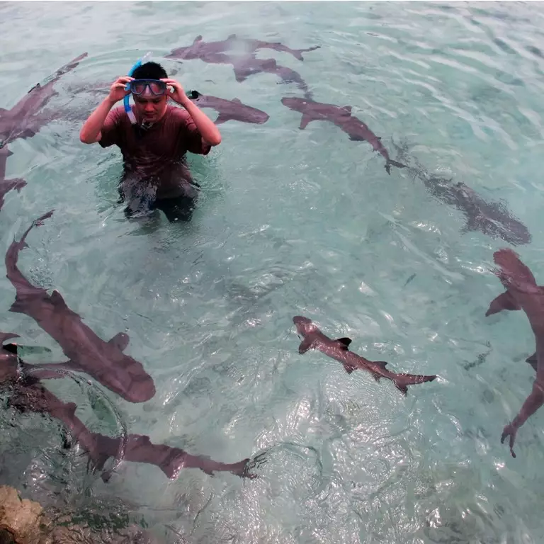 Nggak perlu khawatir cuaca buruk, traveling ke Karimunjawa tetap jalan