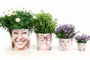 Tren 'facepot' bikin tanaman di rumahmu makin 'hidup'