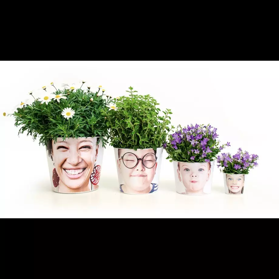 Tren 'facepot' bikin tanaman di rumahmu makin 'hidup'