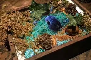 Restoran ini menyajikan menu di atas iPad, apa alasannya ya?