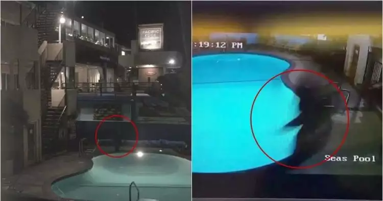 Ingin pamer aksi lompat ke kolam, Youtuber ini malah apes