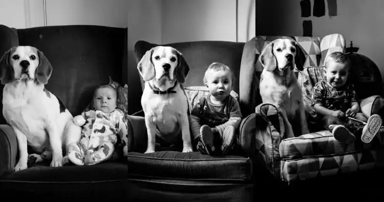 24 Potret bayi dan anjingnya berpose selama 2 tahun ini unik banget