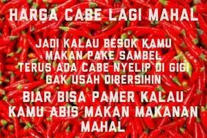10 Meme cabai mahal ini bikin kamu ketawa sampai perut melilit