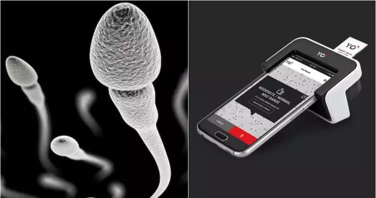 Cek kesuburan sperma kini bisa lewat smartphone, gimana caranya ya?