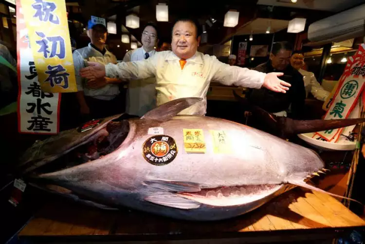 Seekor ikan konsumsi ini terjual hingga Rp 8,5 miliar, wow