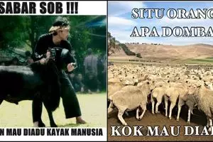 10 Meme adu domba ini bikin sadar kalau kamu manusia