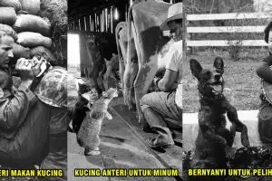 Lagi, ini 15 foto saat Perang Dunia I-II yang bakal bikin kamu terharu