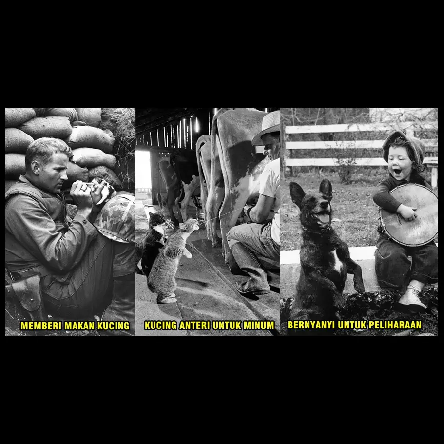 Lagi, ini 15 foto saat Perang Dunia I-II yang bakal bikin kamu terharu