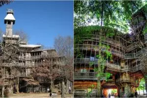 Dibangun selama 15 tahun, ini 8 foto rumah pohon terbesar di dunia