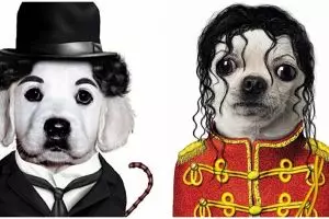 Pose khas 10 figur dunia ternama diubah berwajah anjing, kenal nggak?