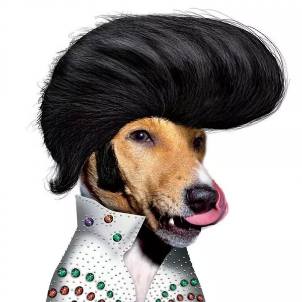 Pose khas 10 figur dunia ternama diubah berwajah anjing, kenal nggak?